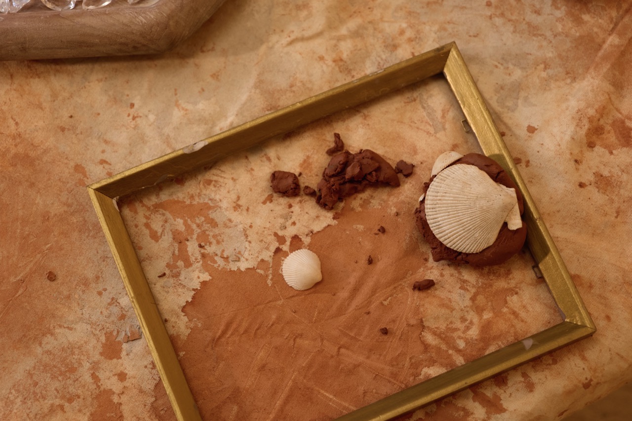 Clay and shell exploration